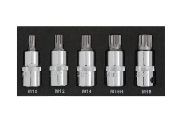 BlueSpot 5pc 1/2″ Spline Bit Set (M10-M18) (EVA FOAM)
