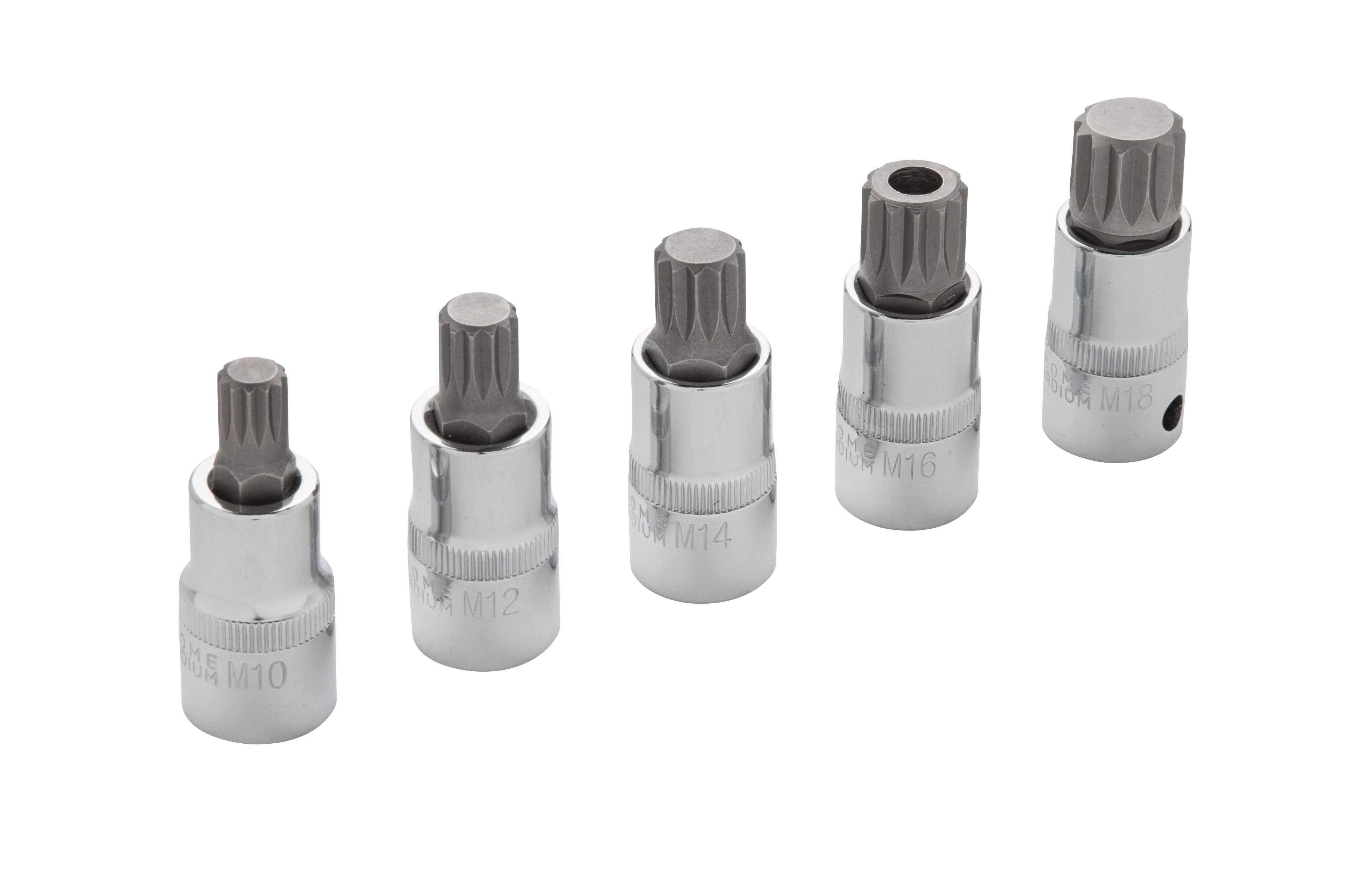 BlueSpot 5pc 1/2" Spline Bit Set (M10-M18) (EVA FOAM) - Image 3