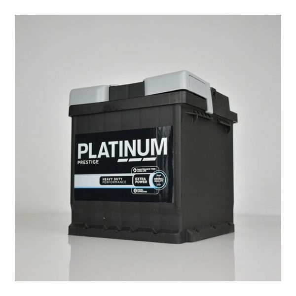 Platinum 202E car battery