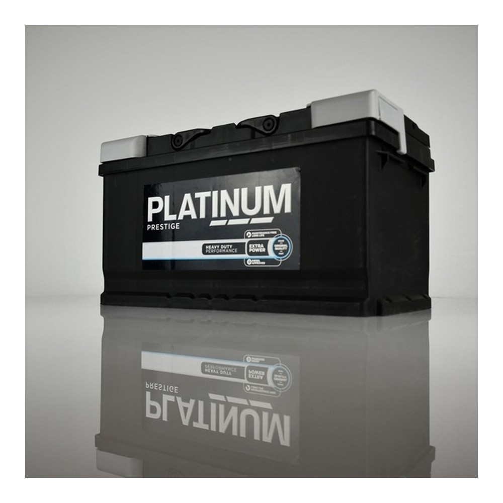 Platinum 110E car battery