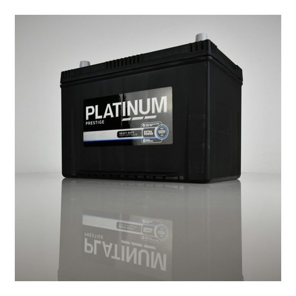 Platinum 250E car battery