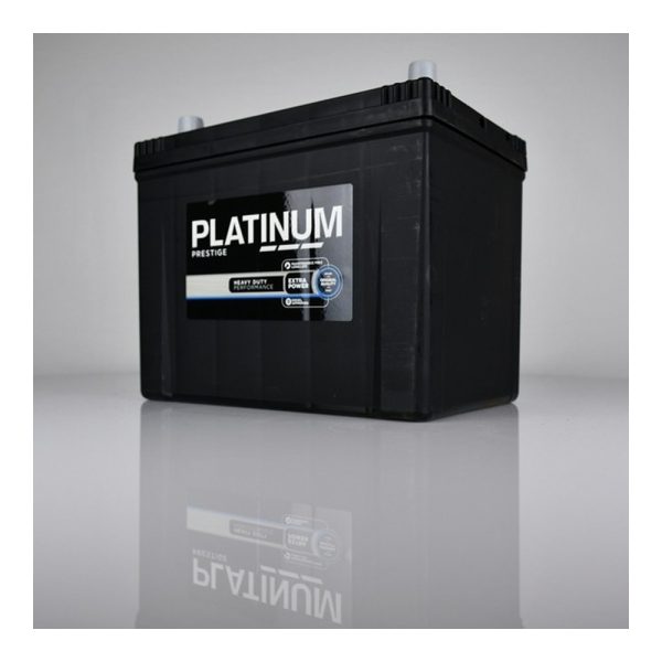 Platinum 005RE car battery