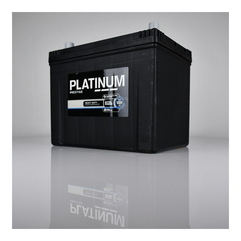 Platinum 005RE car battery